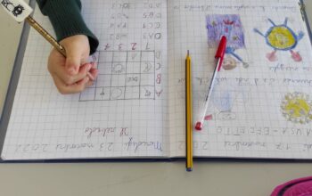 reticolo (3)