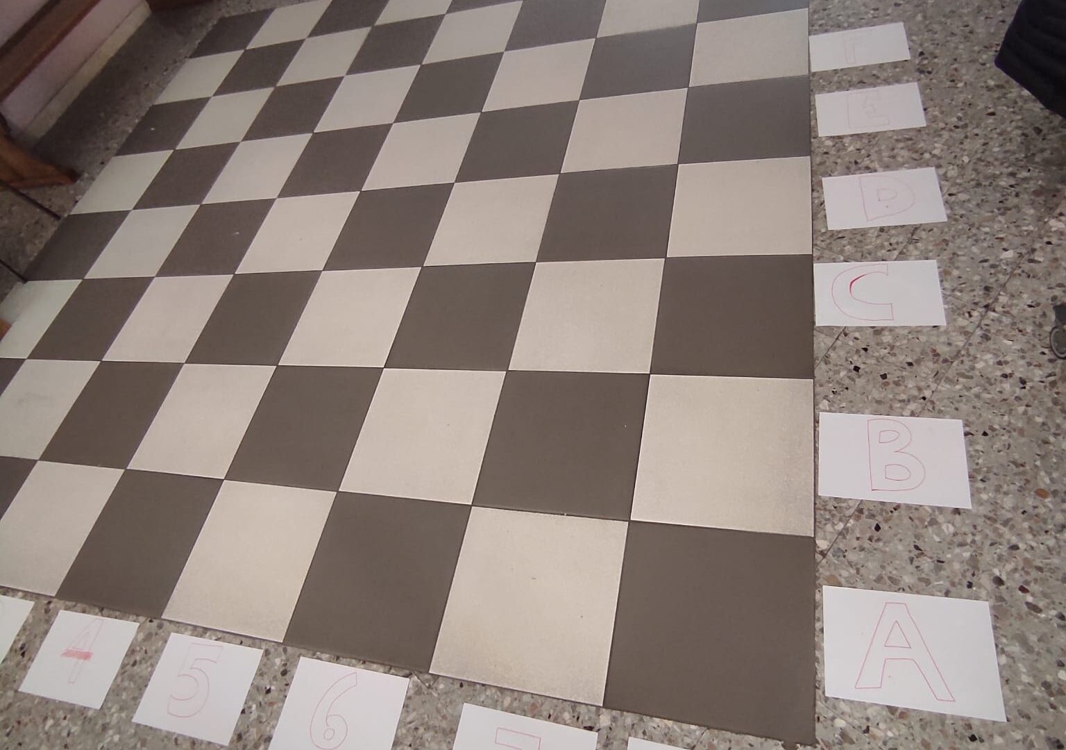 reticolo (6)
