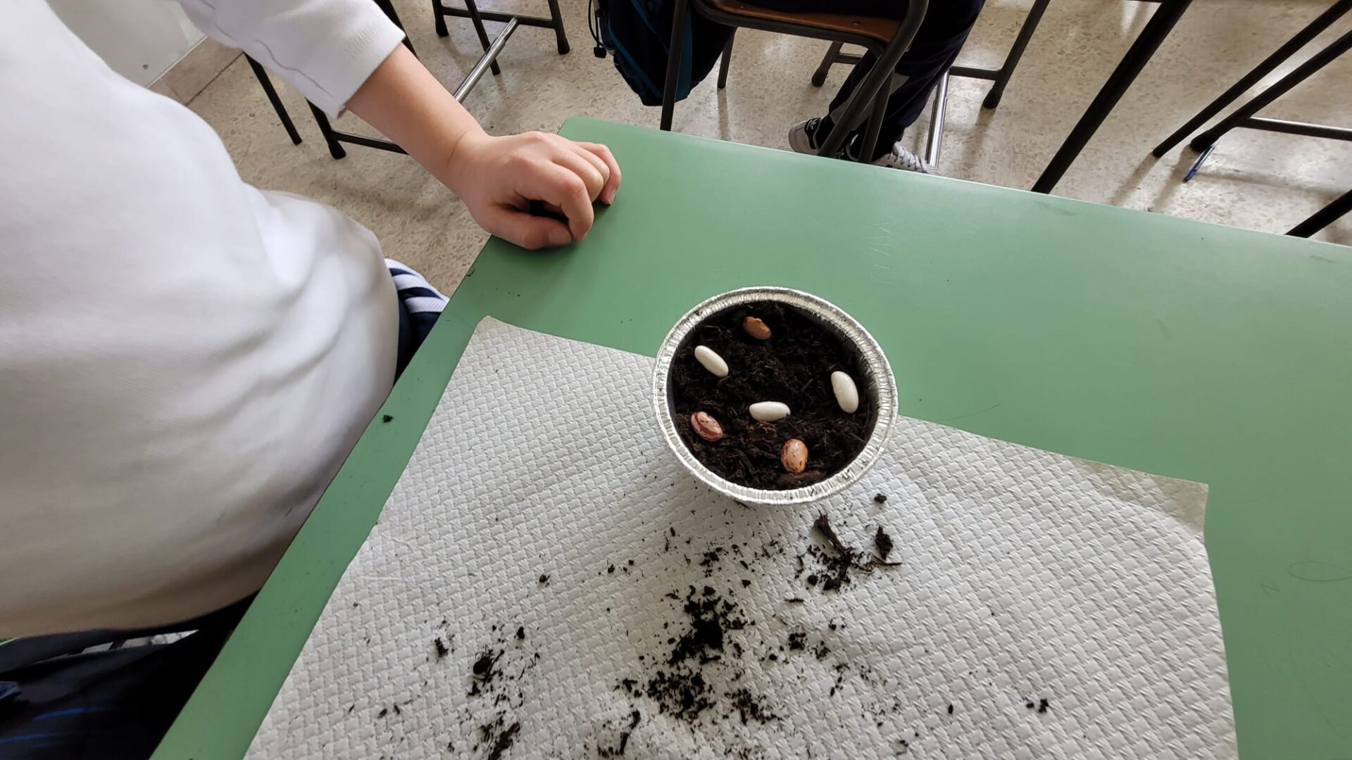 contadini (14)