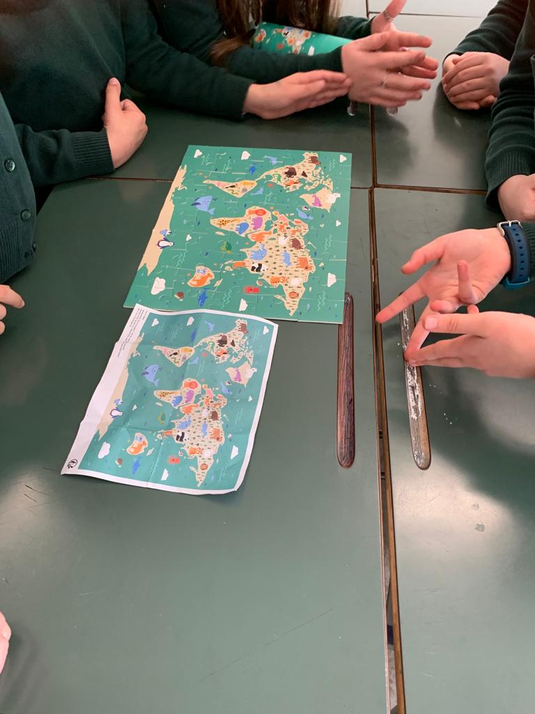 laboratorio (11)